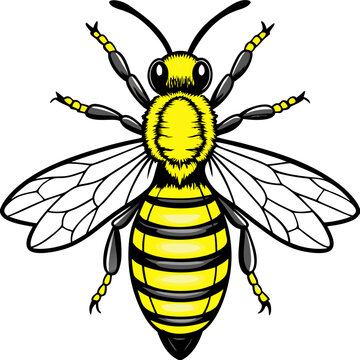 Bee SVG Cut File, Bumble Bee Svg, Honey Bee SvHoney bee logo design template with vector illustrationg, Honeycomb, Honey Drip Svg, Bee Clipart, 