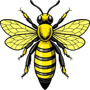 Bee SVG Cut File, Bumble Bee Svg, Honey Bee SvHoney bee logo design template with vector illustrationg, Honeycomb, Honey Drip Svg, Bee Clipart, 