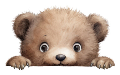 Wall Mural - png bear mammal animal bear.