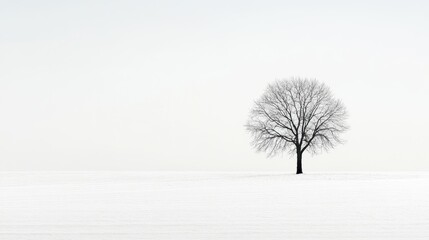 Poster - A Single Bare Tree Stands Tall in a Snowy Field