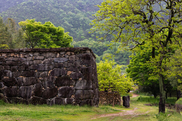 Wall Mural - Landscape with old castle walls and trees