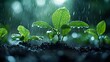 © horizon - Raindrops on lush green leaves, capturing water droplets and sunlight filtered through rain, in a moody, vibrant nature scene with high detail and cinematic lighting.