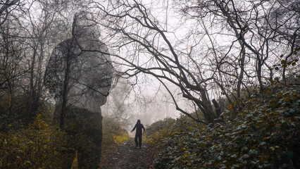 Poster - A horror concept. A ghost like hooded figure watching a blurred entity walking down a path. In a spooky foggy winters forest.