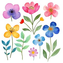 Different different Cute spring flowers, clipart, watercolor illustration, simple clean line art, white background, colorful,