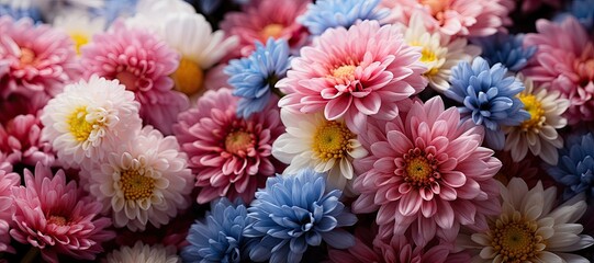 Poster - A lush display of pink and blue daisies fills the arrangement, showcasing their vibrant colors and intricate petals, offering a cheerful spring ambiance