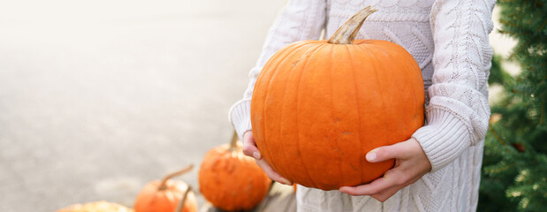 Kid girl holding large pumpkin on Halloween market. Harvesting on autumn farm. Local homegrown vegetables, organic eco-friendly food. Child hands with Jack o lantern, banner with copy space