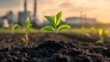 © QITIAN - A young green plant grows in rich soil against an industrial backdrop at sunset.