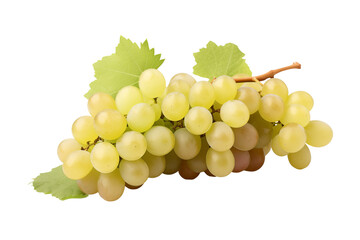 white grape on transparent background. png cutout. wine related themes. wine professions. oenologist