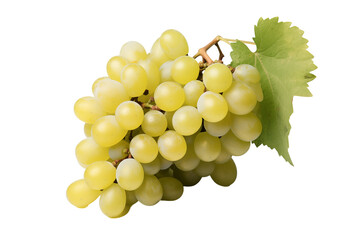 white grape on transparent background. png cutout. wine related themes. wine professions. oenologist