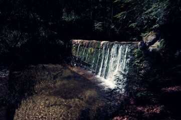 waterfall in the forest