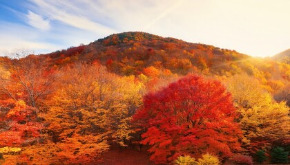 Aufkleber - Serene Autumn Woodland Landscape with Vibrant Red and Orange Foliage Illuminated by Soft Morning Sunbeams, Capturing the Tranquility and Warmth of a Crisp Fall Day in a Peaceful Forest Valley