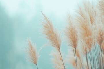 Wall Mural - A spring morning view of blossoming grass with a gentle breeze against a misty sky is serene and serene, with a straightforward zen tone. Nature in pastel tones in spring. Image source.