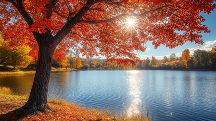 Poster - A stunning red maple tree surrounded by a serene lake showcasing the vibrant colors of autumn against a bright sunny backdrop