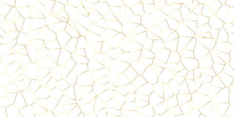 Wall Mural - Golden gradient lines stroke abstract white crystalized broken glass background. Voronoi diagram background. abstract desktop texture design digital art wallpaper, vector illustration.	
