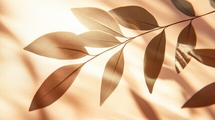 Poster - Leaf shadow on a soft background Artistic abstract composition