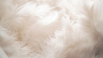 Poster - Close up of soft white feathers forming a light and delicate texture ideal for subtle backgrounds