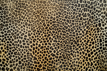 Leopard Animal Print. Background Texture.