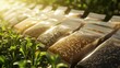 © Ubix - A row of seed packets sits atop fresh green seedlings, bathed in sunlight, highlighting the promise of nature and growth.