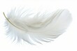 © Александр Лобач - fluffy white feather highlighted on a white isolated background