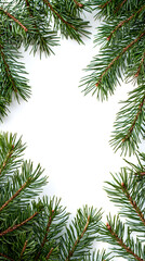 Wall Mural - Decorative border frame with evergreen pine branches isolated on white background with copy space for text