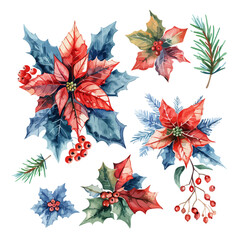 Wall Mural - Watercolor Christmas wreath with poinsettia, and pine cones. Hand-painted illustration, Watercolor illustration, bouquet of Poinsettia plant, Set of watercolor compositions with poinsettia flowers