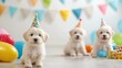 © Phakawan - A joyful scene of puppies celebrating a birthday party, each wearing tiny hats and surrounded by colorful toys, capturing the essence of adorable fun and playful celebration.