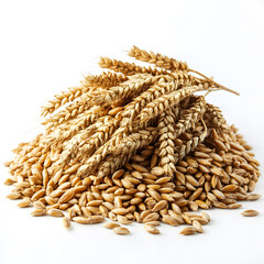 Pile of expanded wheat isolated on white background