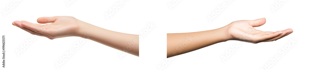 Hand holding something isolated on transparent and white background ...