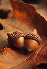 Canvas Print -  A couple of acorns atop a single leaf over a ground blanketed in leaves