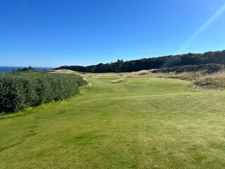 golf course. nature, golf, golf course, nature, grass, sky, field, landscape, green, meadow, summer, cloud, clouds, tree, blue, countryside, course, hill, view, spring, country, trees, mountain, lawn,