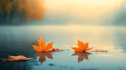 Wall Mural - A pair of orange leaves float on a calm body of water with their reflections visible in the water.