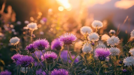 Canvas Print - Wildflowers in Golden Sunset