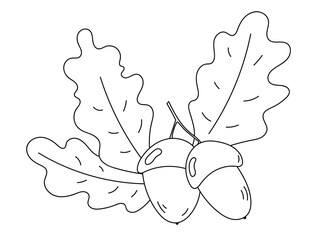 Coloring pages illustration of Pair Of Acorns With Leaves On A Twig Being