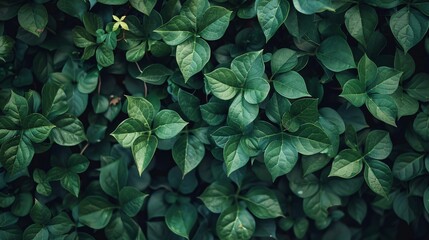 Wall Mural - Abstract leaves in the background, a pattern that showcases nature's textures. Bright green decoration, a representation of plant life.