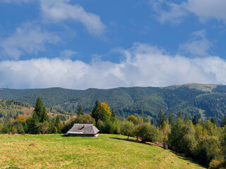 Wooden old village house on a picturesque green meadow against the background of the forest.Traditional quiet forest clearing with a rustic wooden cabin and serene surroundings in mountine. 