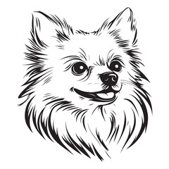 Pomeranian Face, Pomeranian dog breed Cute cartoon vector clipart Design, Silhouettes Dog Face, black and white Pomeranian vector