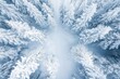 © MrHamster - Aerial View of Snow-Covered Trees in a Winter Forest