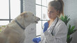 © Krakenimages.com - A young woman vet examines a dog in a bright clinic room, reflecting care and professionalism.