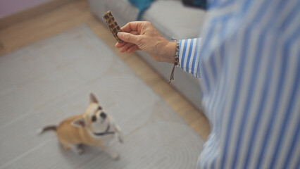 Sticker - A middle-aged woman plays with her chihuahua in a cozy indoor living room setting, evoking a warm, homely feel.