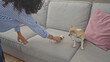 © Krakenimages.com - A middle-aged woman cleans dog hair off the sofa with a lint roller indoors while her chihuahua watches.