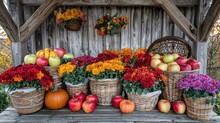 Apples And Pumpkins Display Free Stock Photo - Public Domain Pictures