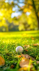 Golf ball resting on green grass with autumn foliage bathed in warm sunlight in the background.