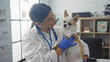 © Krakenimages.com - A young hispanic female veterinarian holds a chihuahua dog in a veterinary clinic room, wearing a stethoscope and gloves.