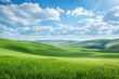 © Sekai - Endless Rolling Fields of Lush Green Grass Under an Expansive Blue Sky, Inviting a Sense of Freedom and Serenity