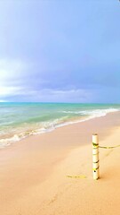 Wall Mural - Beach waves as a torrential storm approaches. 