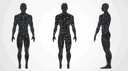 Poster - Polygonal Low-Poly Human Body Vector Illustration in Thin Lines and Dots - Science and Medical Graphic Resource, Flat Minimalist SVG