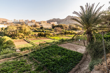 Wall Mural - Fields near Dhahran al Janub, Saudi Arabia