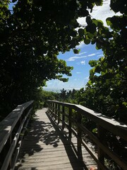 wooden bridge at beach park