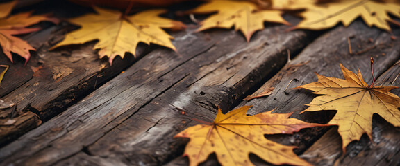 Autumn Leaves on Wooden Plank