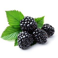 Poster - Fresh blackberries with vibrant green leaves isolated on a white background, showcasing natural gloss and ripeness.  